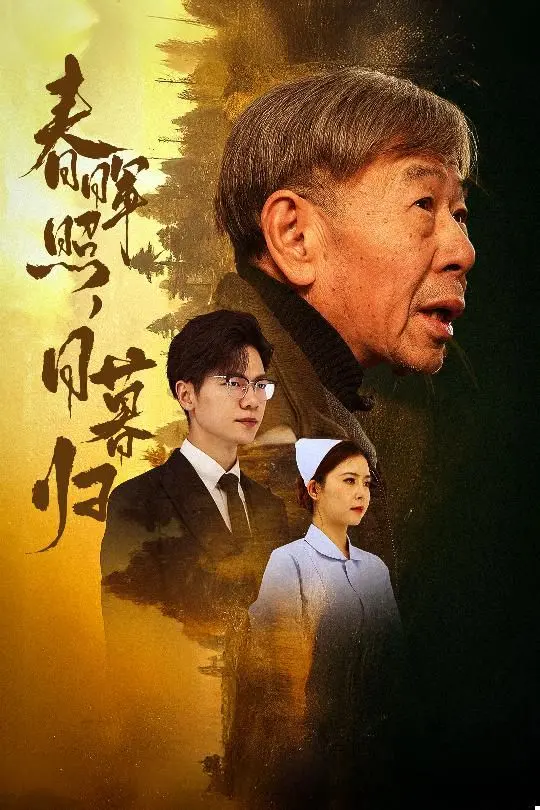 《春晖照日暮归 三冬暖》：夕阳下的温暖，这部电影让你泪奔
