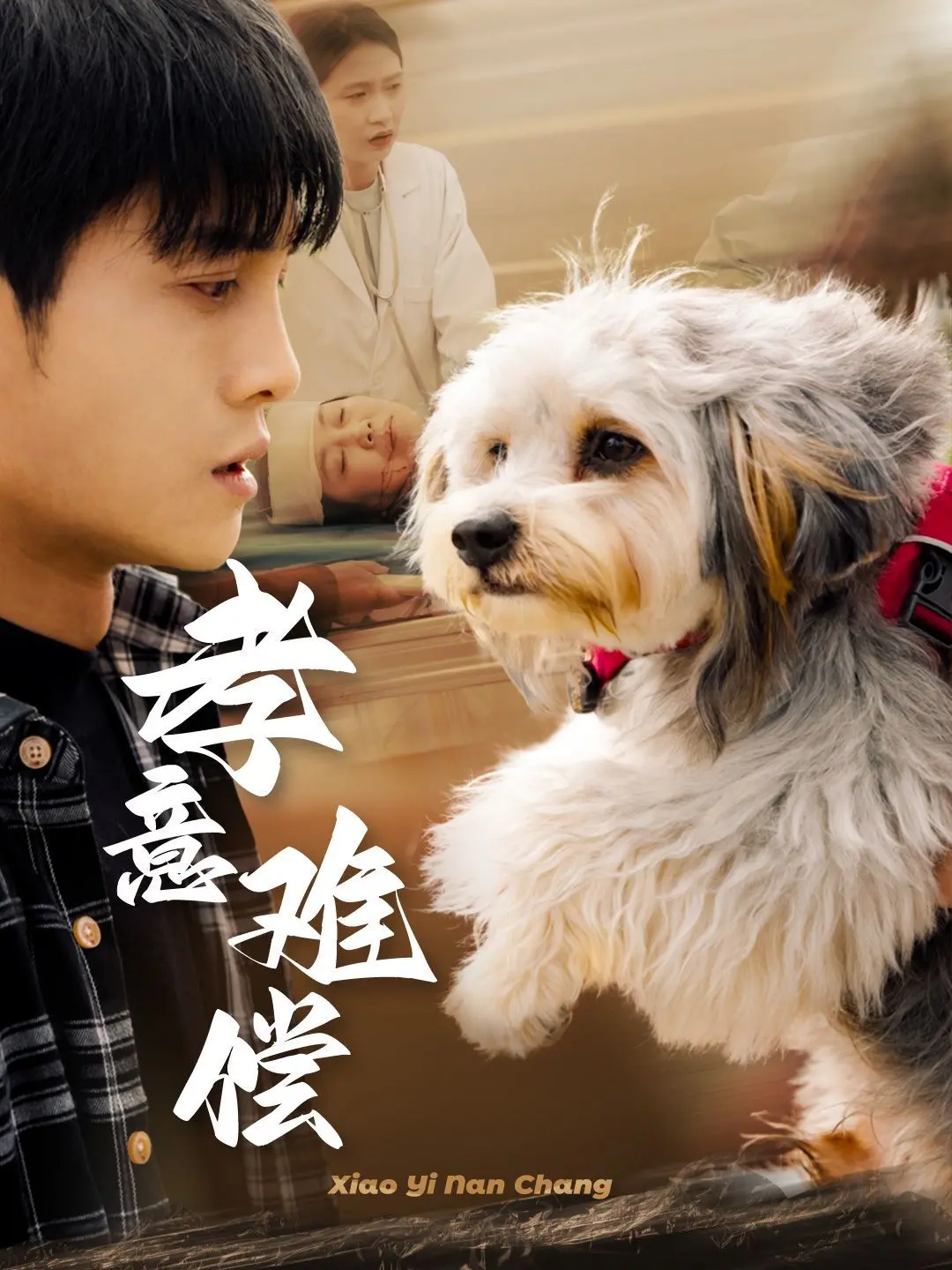 《孝意难偿》：别让遗憾成永恒！一部触动灵魂的亲情电影，引发深度思考。