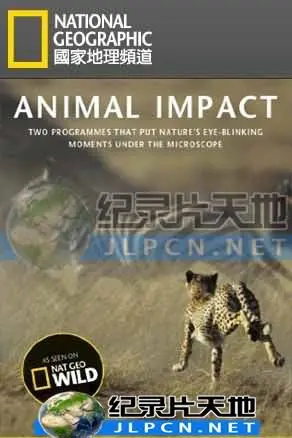 《动物构造大揭密》：深入动物世界，揭秘鲜为人知的身体奥秘！