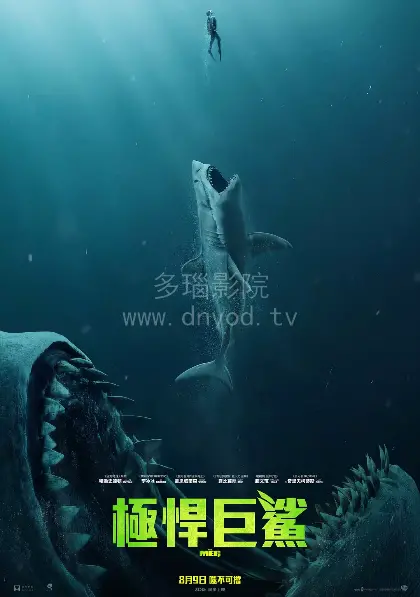 《空中巨鲨》影评：血腥风暴来袭！B级片爱好者的狂欢！