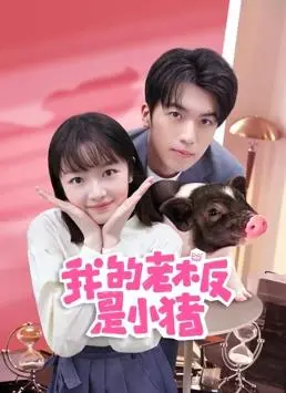 《我的老板是小猪》：职场萌宠奇遇记，笑料百出的另类CEO养成史！