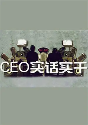 《CEO实话实干》：别再听空话了！看真实CEO如何用行动打破行业壁垒，引领企业走向新纪元